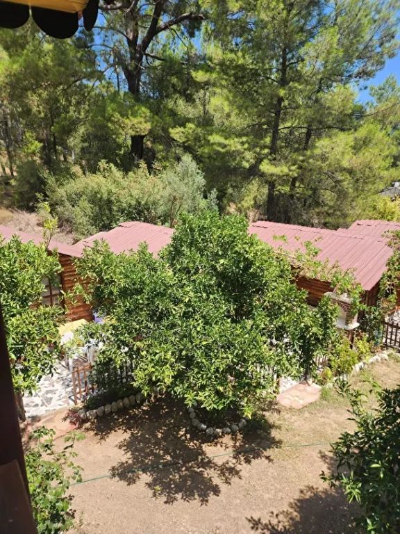 Karakalem Bungalow — 4