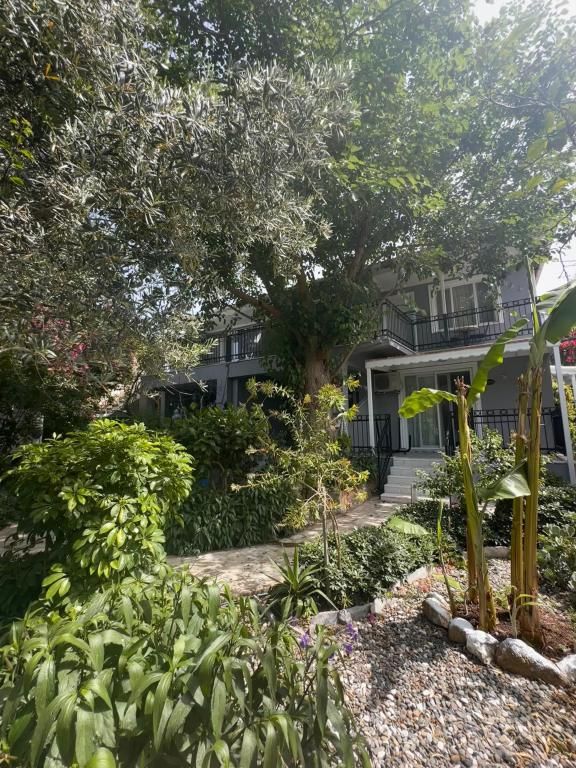 Karia Konuk Evi