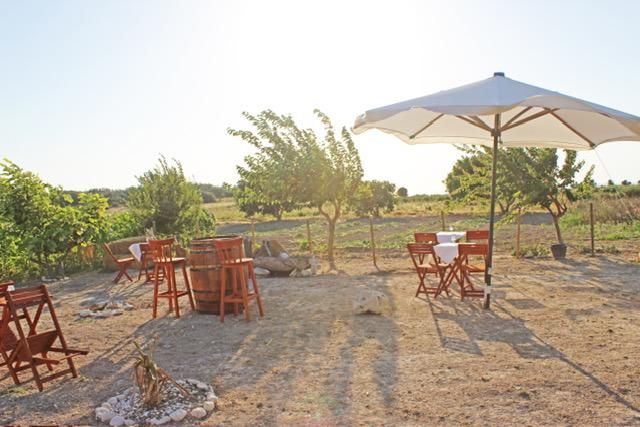 Karina Vineyard House — 9