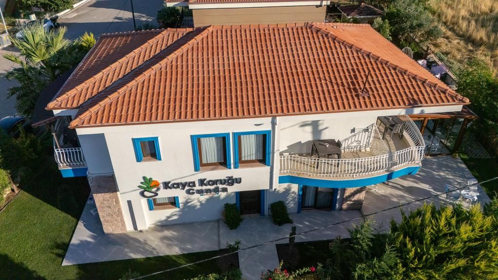 Kaya Koruğu — 6