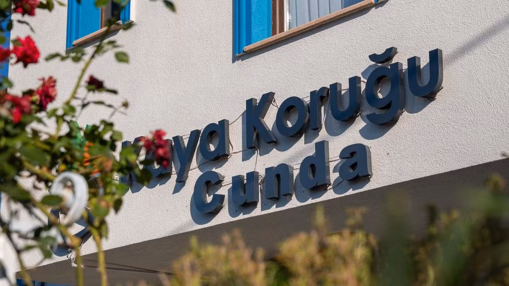 Kaya Koruğu — 8