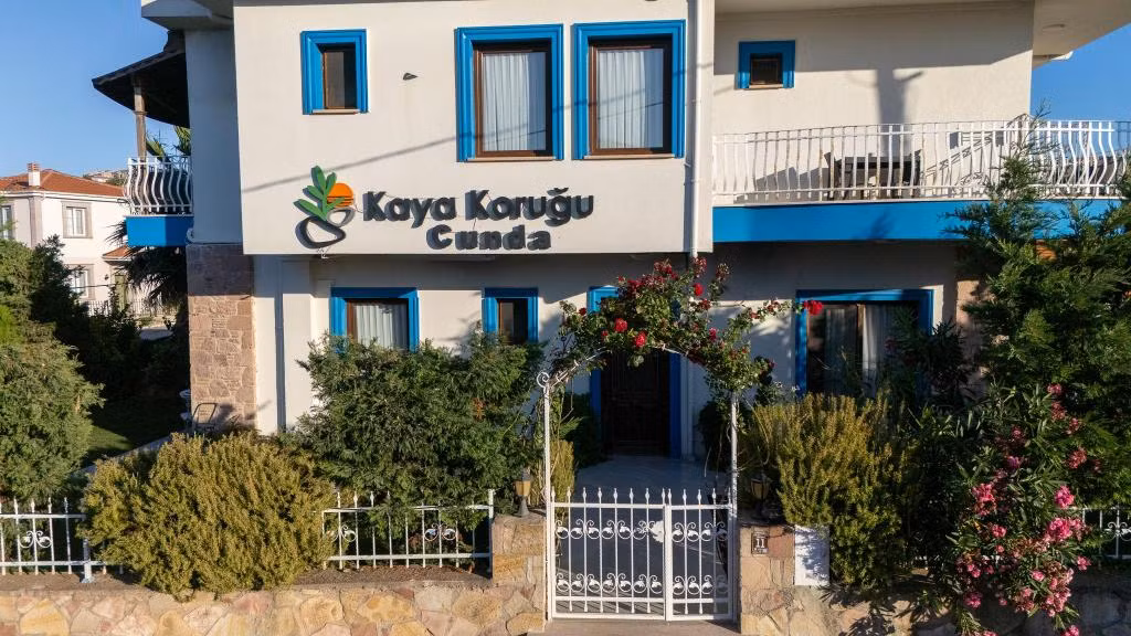 Kaya Koruğu