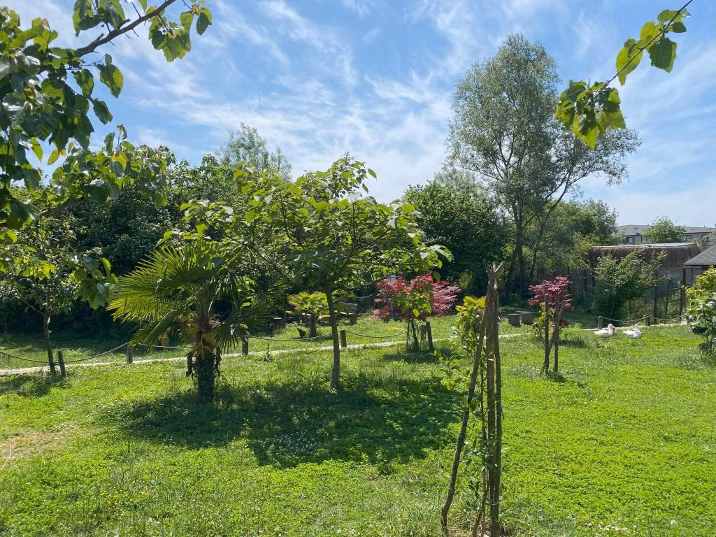 Kerpe Diem Otel — 3