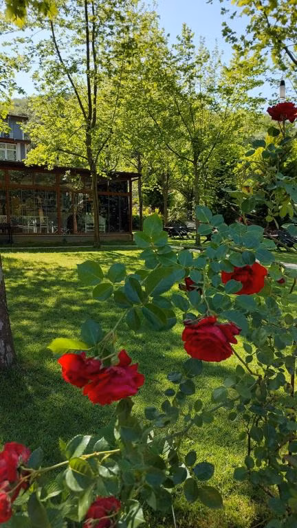  Keyif Boutique Hotel & Restaurant
