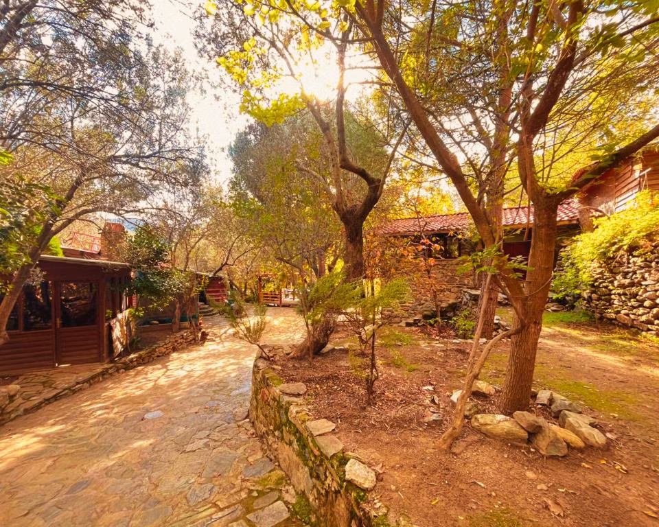 Kybele Nature Life — 2