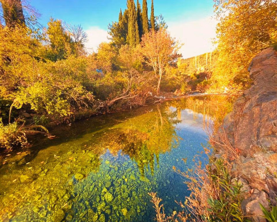 Kybele Nature Life — 5
