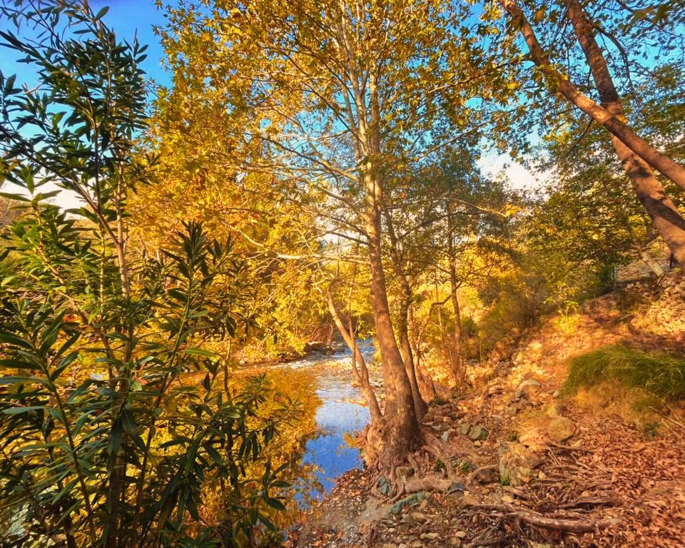 Kybele Nature Life — 7