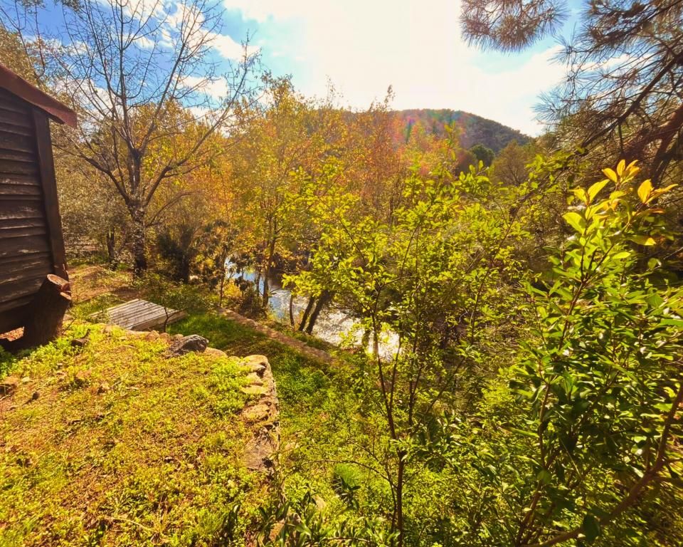 Kybele Nature Life — 9