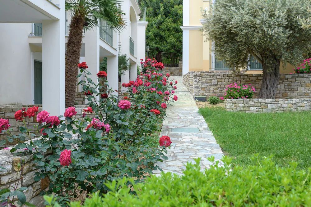Kyveli Apartments — 5