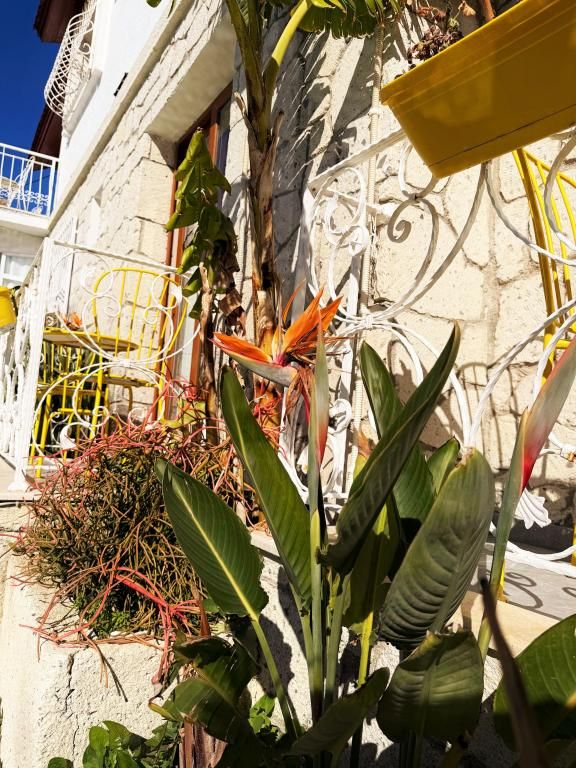 Limoni Hotel Alaçatı — 5