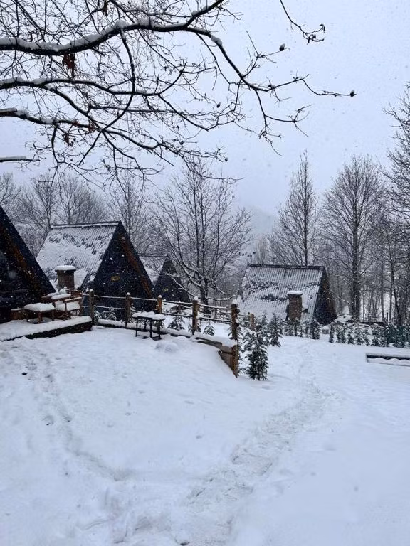 Loca Sapanca Bungalov — 3