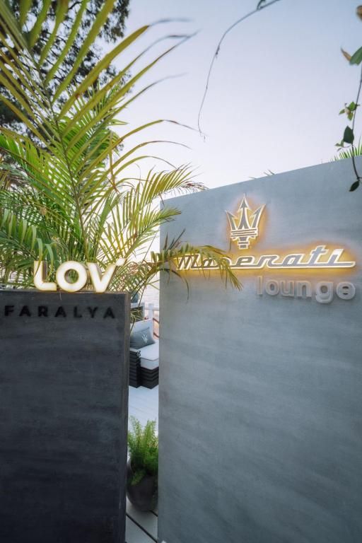 Lov Faralya — 7