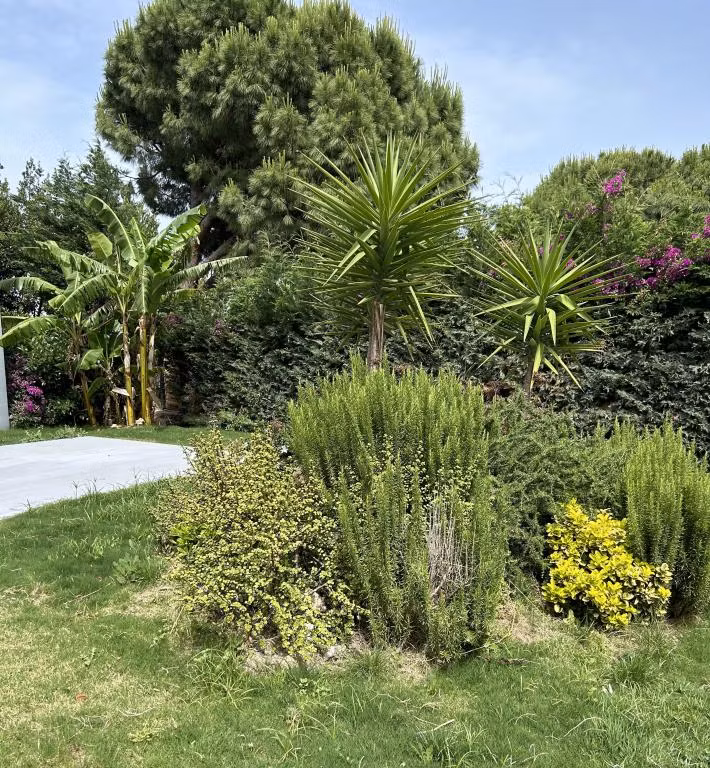 Malta Bodrum — 2