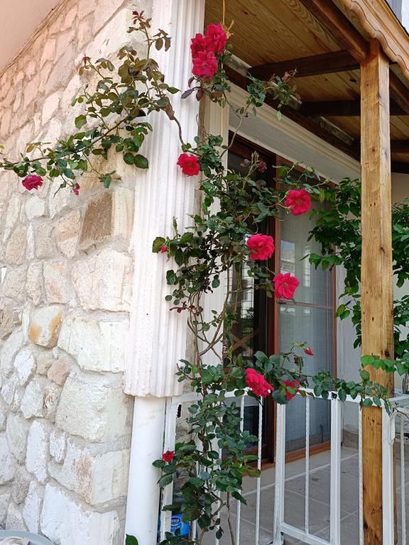 Masal Evi Otel — 6