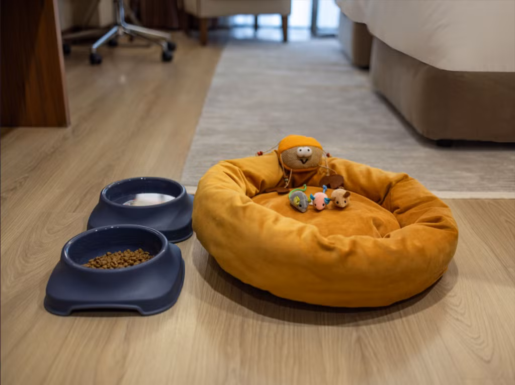 Mercure Ankara Kızılay — 8
