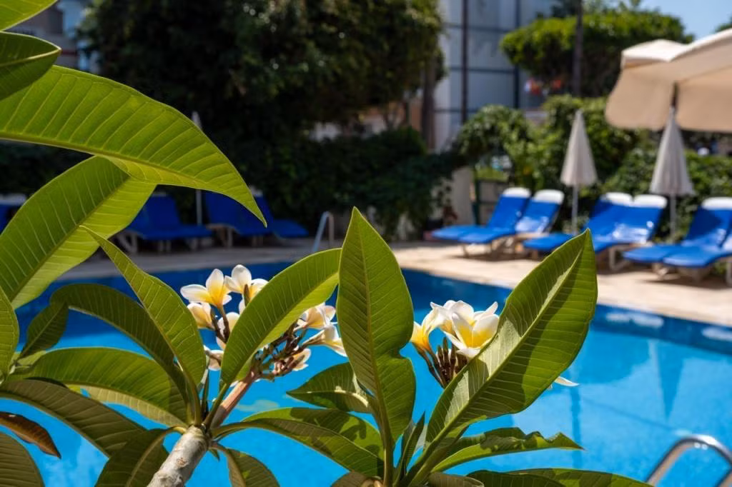 Miray Hotel Kleopatra — 4