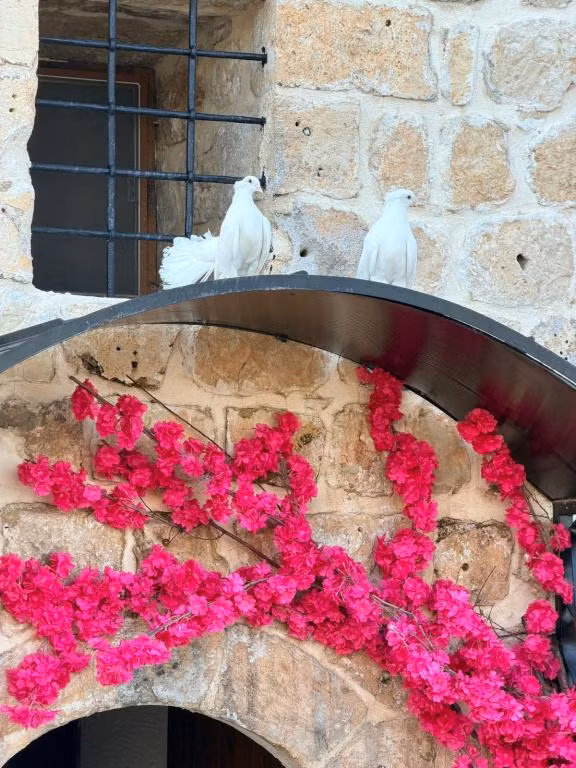Mirisso Konak Hotel Mardin — 5