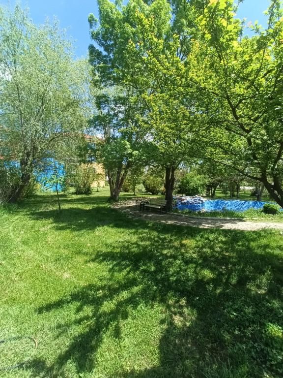 Monteri Termal Palace & SPA — 4