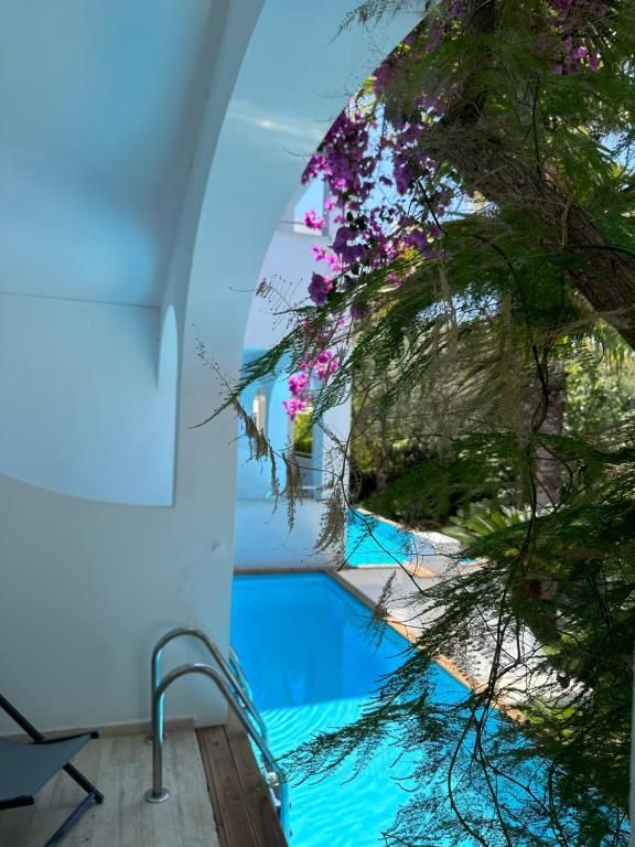 Mr & Mrs White Corfu — 9