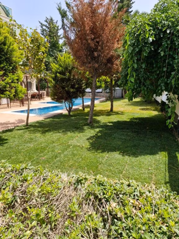 Adens Villalari