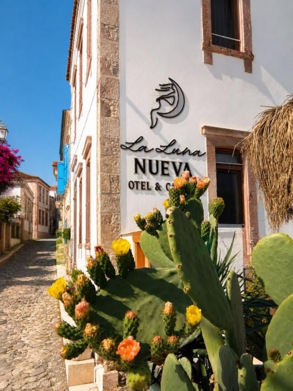 Nueva Cunda — 3