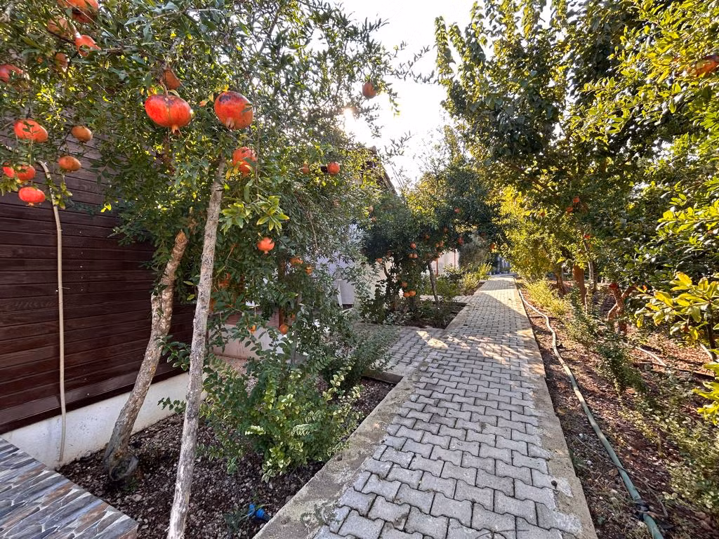 Olimpos Vadi Houses — 10
