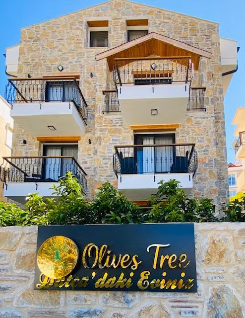 Datça Olives Tree