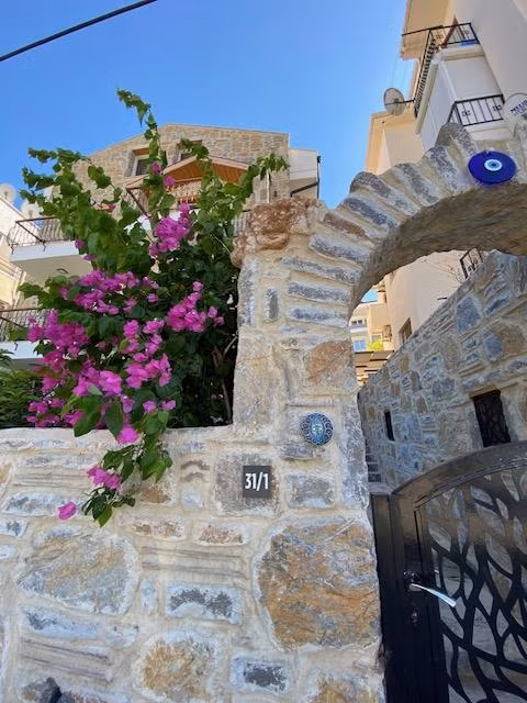 Datça Olives Tree — 2