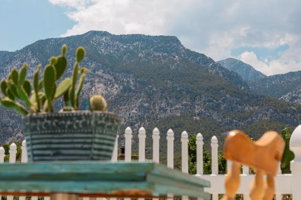 Olya Boutique Hotel — 4