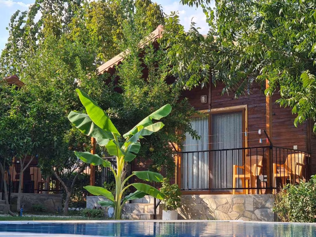 Olympos Olive Garden Pansiyon