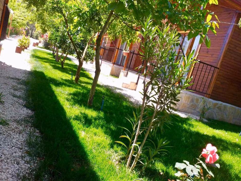 Olympos Olive Garden Pansiyon — 7