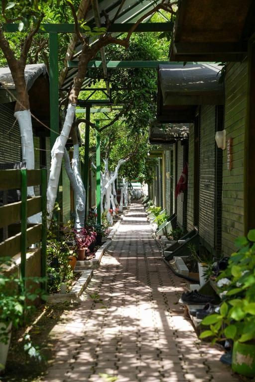 Olympos Zeytin — 4