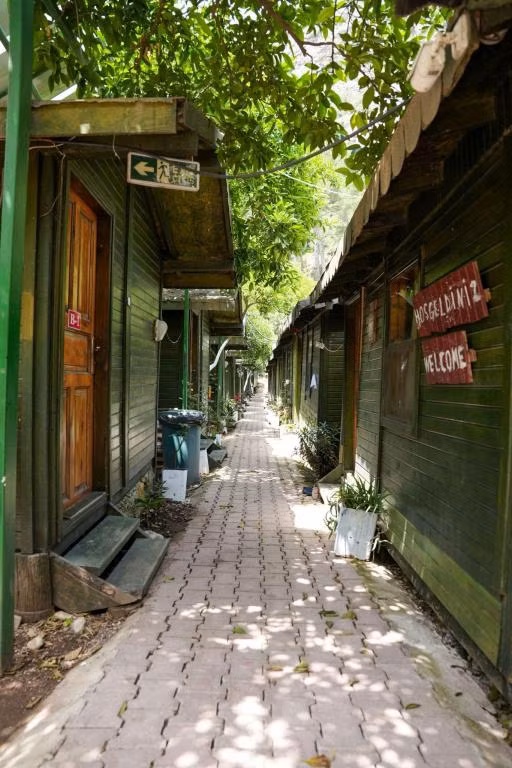 Olympos Zeytin — 6