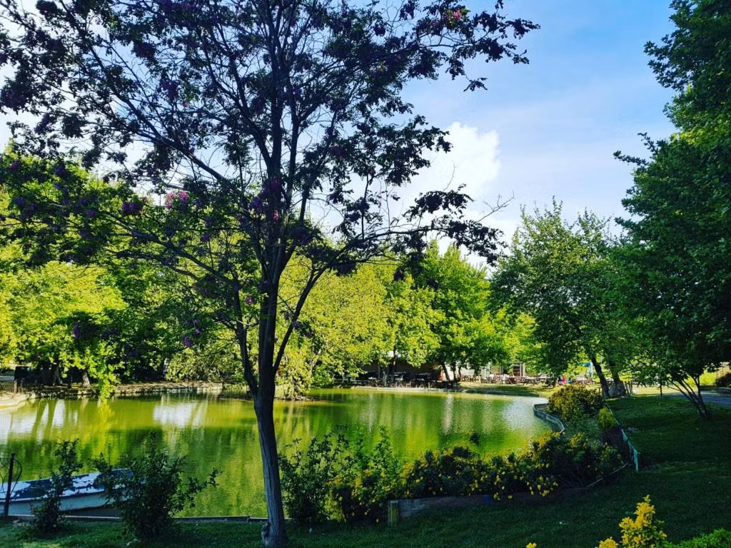 Naturla Çiftlik Otel Urla — 3