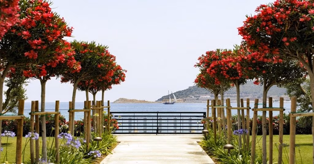 Palaia Hotel Datça Adult Only — 4