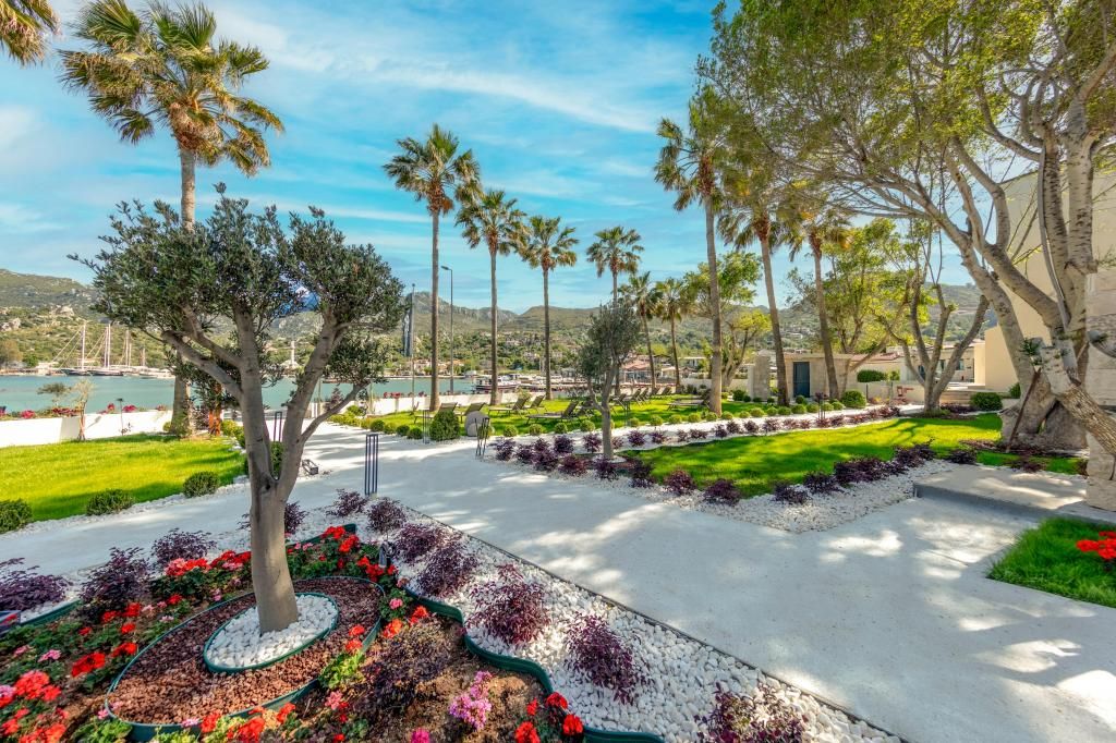 Palmetto Resort Hotel — 9