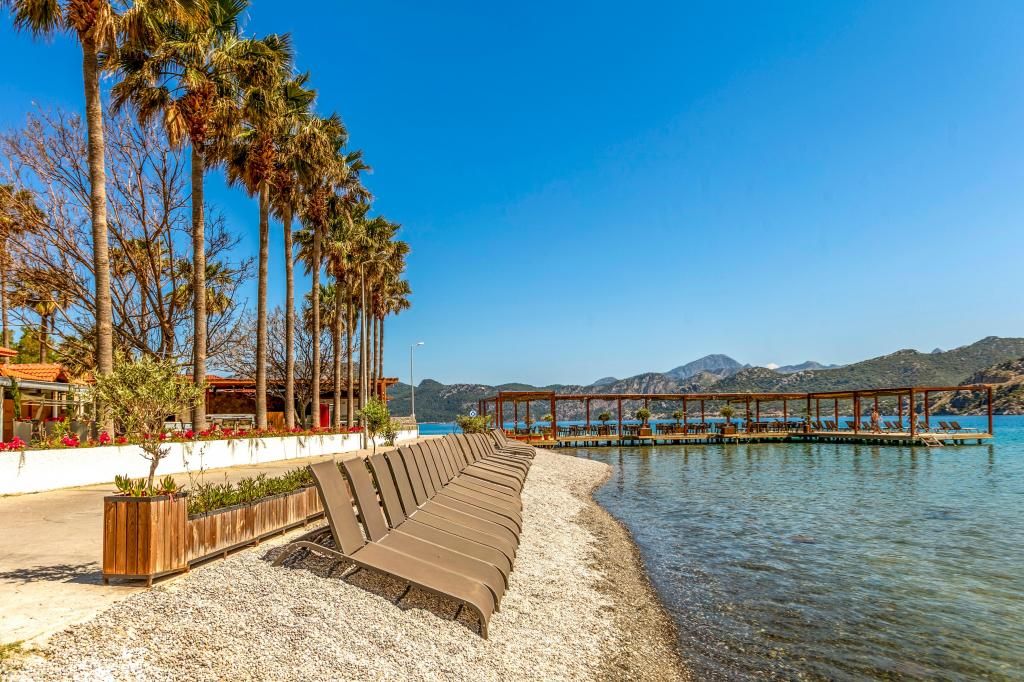Palmetto Resort Hotel — 4