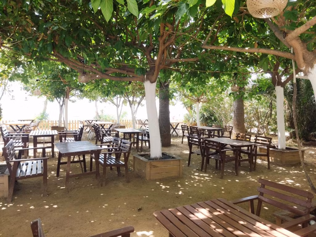 Palmiye Otel Özdere — 8