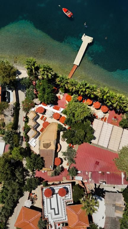 Panjur Söğütköy +16