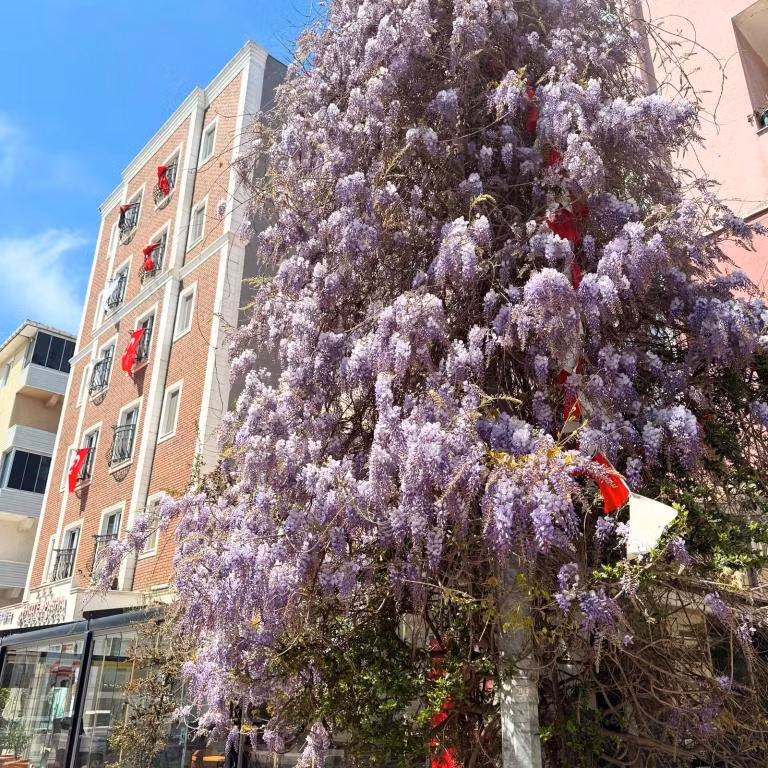Pasha Hotel Çerkezköy — 5