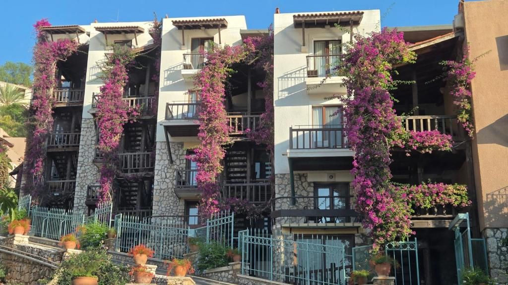 Patara Prince — 8