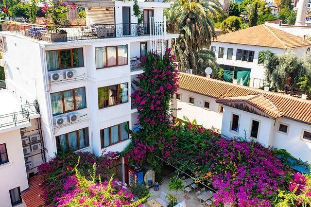 Patron Hotel — 7