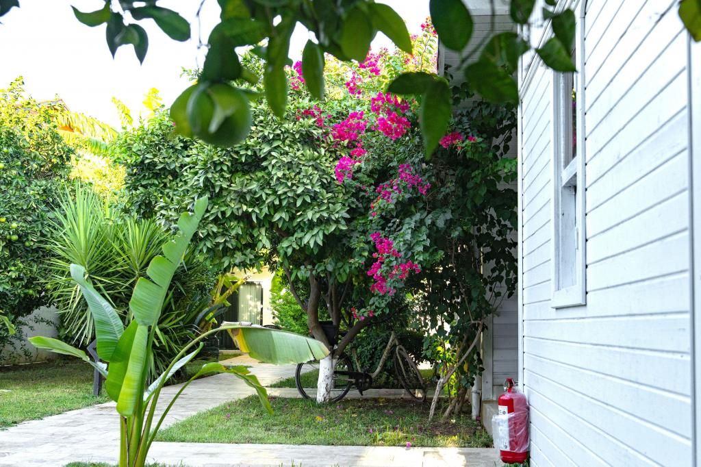 Perast Garden Hotel — 4