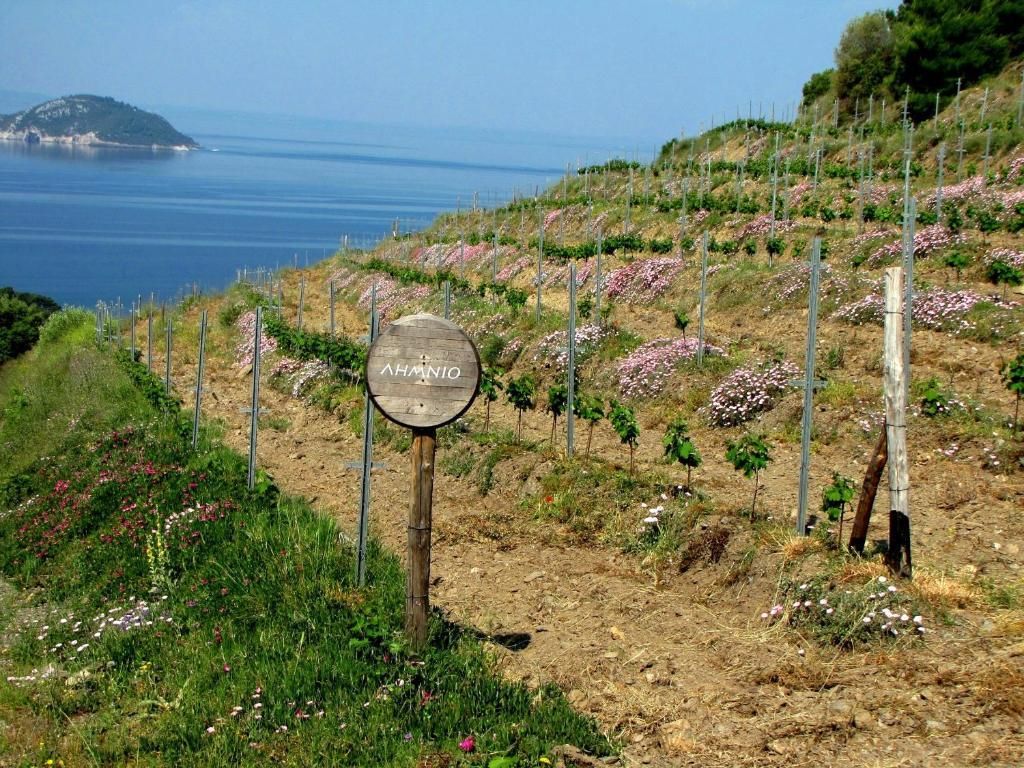 Porto Carras Meliton — 6