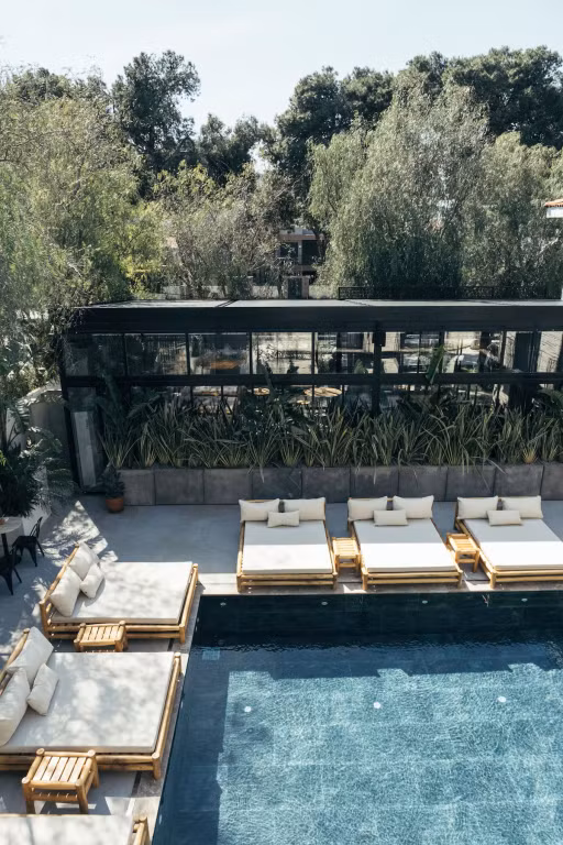 Primus Nefes (Adult Only)