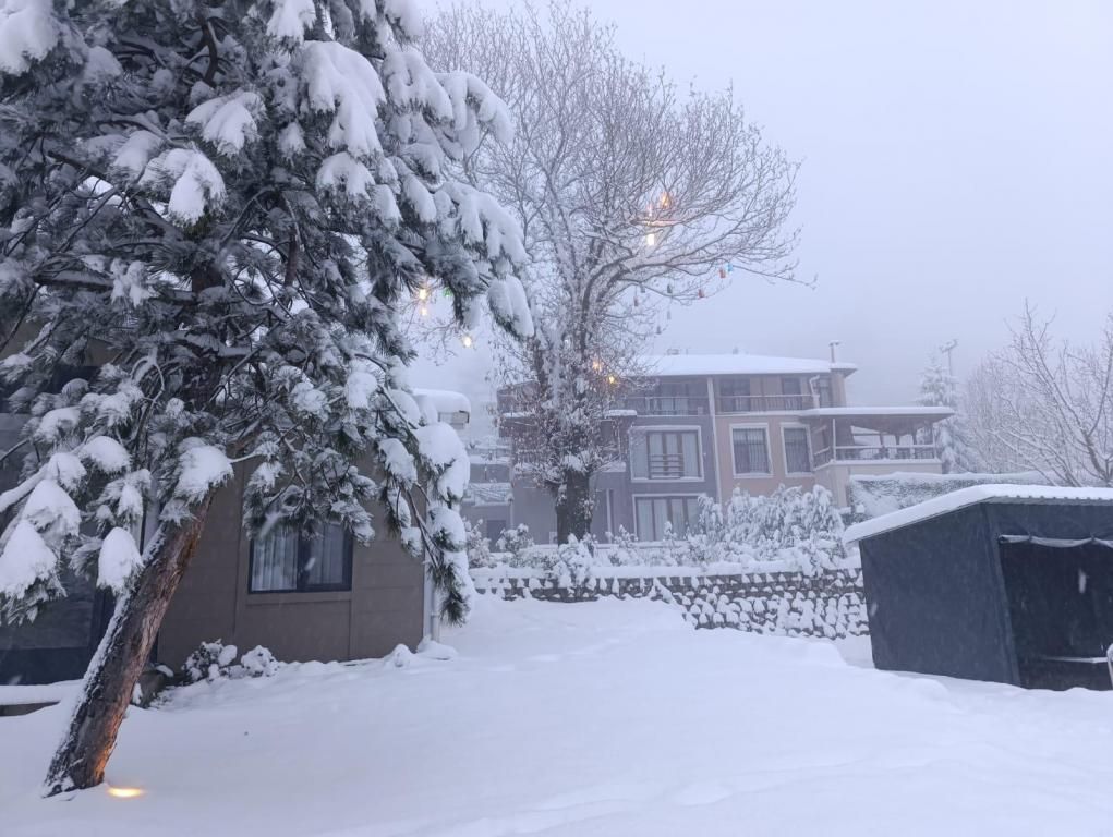 Rüya Sapanca Bungalov — 2