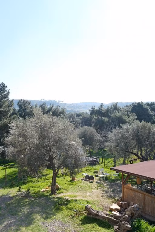 Rida Sultan Konağı Kozbeyli — 6