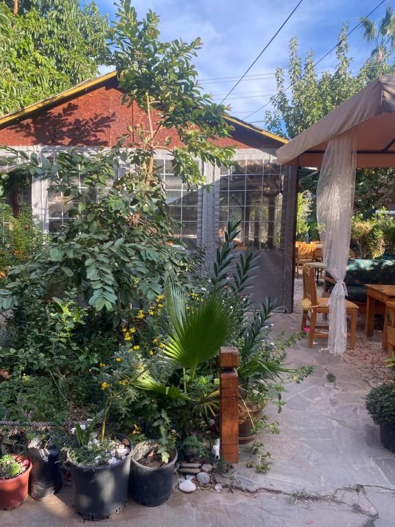 Rosemary Kütle  Pansiyon — 5