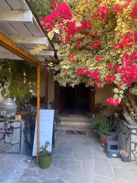 Rosemary Kütle  Pansiyon — 7