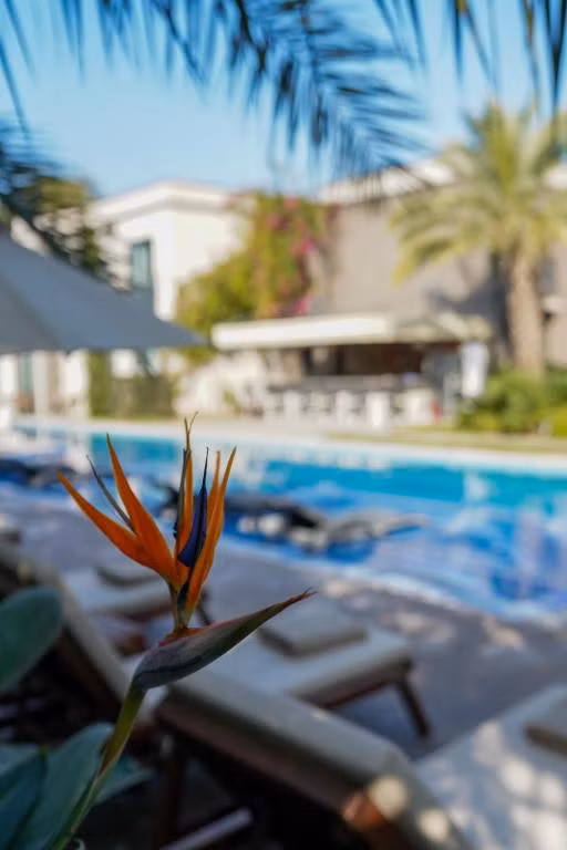 Sandora Boutique Hotel — 7